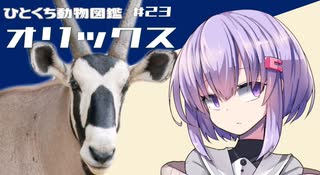 ひとくち動物図鑑　#23　オリックス　[VOICEROID解説]