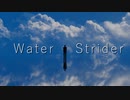 Water Strider / IA