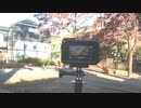 DJI osmo action 3 手ぶれ補正＋水平ロック 撮影映像と撮影風景