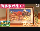 18(終) - 演奏家が往く！『星のカービィ ディスカバリー』アニマルたちのねがいを音に乗せて