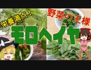【ゆっくり解説】モロヘイヤの栄養について解説！