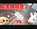 【ガチバトル】勝つのはどっちだ！ポテトVSうさぎの障害物競走！！【モルカー】