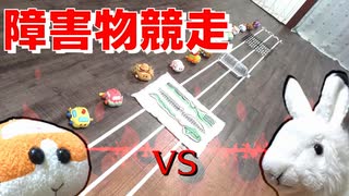 【ガチバトル】勝つのはどっちだ！ポテトVSうさぎの障害物競走！！【モルカー】