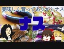 【ゆっくり解説】ナスの栄養について解説！