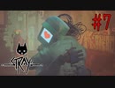 離れ離れだった親子の再会で街を去る猫【Stray】 #7