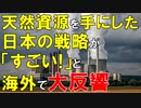 【日本ニュース】独自の方法で天然資源を確保する日本の計画が｢すごい!｣と海外で大反響!【ゆっくり解説】