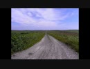 【NNIオリジナル】The Way To The South