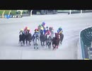 【レモンポップ】2022ペルセウスステークス　パトロールビデオ