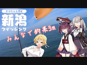 きりたんと行く新潟フィッシング　part6　みんなで釣果3m　【VOICEROIDフィッシングShoreChallenge】