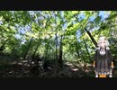 紲星あかりと行く黒目川 １ 小平霊園 さいかち窪～黒目川上流