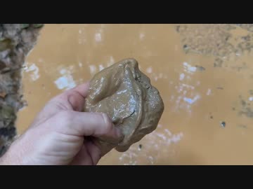 ホモと学ぶ精製した泥からポットを作るビーバー.pot