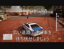 秋の速度取締りのつもりが、違うの捕まえた【police simulator】
