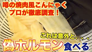 【代替食品】これがホルモン？カルビ？焼肉風こんにゃく食べてみた