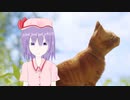 猫になったHSK姉貴.mp15終