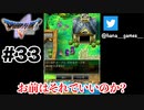 実質俺だからアリ【DQ5/iPad】#33