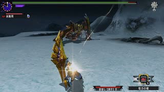 【MHXX】挑戦ブラック試し斬り