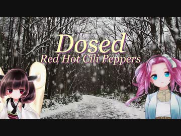 【洋楽カバー祭2022】Dosed【RHCP】