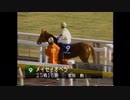 【メイセイオペラ】平成11年 1999年 第16回フェブラリーS 本馬場入場・返し馬