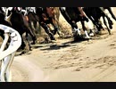 競馬オリジナル曲 「In the dirt」 Original Music