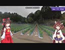 【GeoGuessr】 知らない街を推測する旅 Part.41 