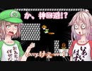 【いもうと】絶対脱がないと誓うマリオ2実況【あね】W.4