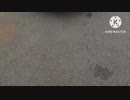 ドライブファミリー