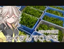 2022年11月4日　農作業日誌P438　突撃隊と出荷部隊　VOICEVOX