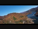 【DJIFPV】岐阜県荘川 御母衣ダムの紅葉が綺麗すぎる！FPVドローン空撮!