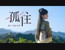 alan（阿兰）～ 孤往（Gū wǎng）《百炼成神》ending song / Video Edit by hoppy（QP）