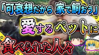 【ゆっくり解説】親とはぐれた子熊を保護した結果...ロシアでヒグマを飼った男性が骨になって発見された事件