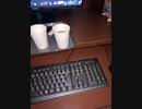 ネカフェでエスパルス対札幌見てる