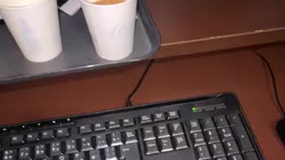 ネカフェでエスパルス対札幌見てる