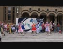【東大生が】2022五月祭⑨東大踊々夢【踊ってみた】Part6