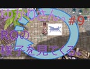 ちょっとラグナロクオンラインの様子見てくる！#9【結月ゆかり実況】【RO】