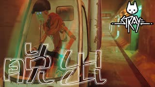 サイバーパンクの世界を冒険　「Stray」　＃9