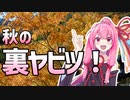 茜ちゃんロードバイク！～秋の裏ヤビツ再走編～【A.I.Voice車載】