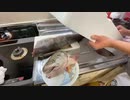 競り落としたどでかい鮭を捌いて鍋にする