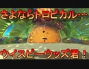 ワドルディを求めて[星のカービィ ディスカバリー]実況プレイ11