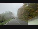 紅葉を見に磐梯吾妻スカイラインへ11　霧の中ダウンヒル2　2022　1016　マツダ２車載