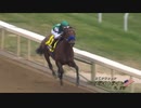 Breeders' Cup Classic 2022   Flightline   (BCクラシック 2022　フライトライン)