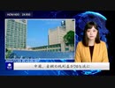 中国、宝鋼の純利益が70％減に