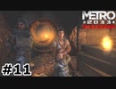 【ゆっくり実況】気分屋なライフル【METRO2033 Redux】