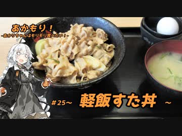 あかもり！#25～新サイズメニュー・軽飯すた丼と生姜焼き～【伝説のすた丼屋】