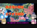 ＜信長の野望・新生＞こころのほのぼの訓練記　第11話（上級鈴木家、1582年）