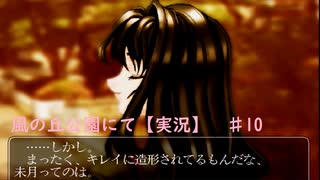 【風の丘公園にて】頑張ってやるギャルゲー♯10【実況】
