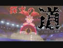 【ポケモン剣盾】煌びやかなる探求の道【マギアナ】