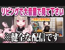 家族でも見れる健全な配信をするサキュバスと冒頭危ないクリスマスの瀬戸の配信まとめ
