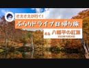 八幡平の紅葉【ぶらりドライブ日帰り旅＃4-2】