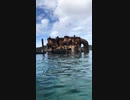 Aug. 2017 Ogasawara Islands Tokyo東京都　小笠原諸島、父島戦時中に座礁した濱江丸