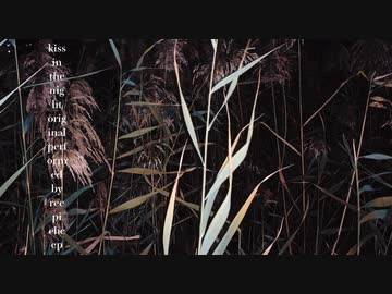 Kiss in The Night (Reepi Cheep) feat.初音ミク - Parabola
